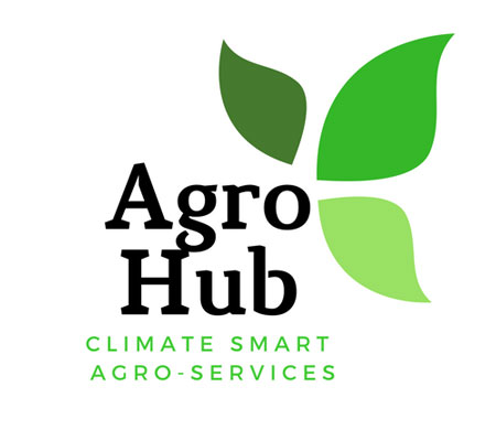 Agro Hub Logo